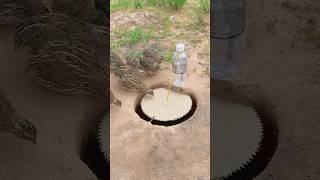 Create Bird Trap Using Bottle amp Deep Hole youtubeshorts [upl. by Aytida]