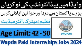 Wapda New Jobs 2024  Wapda Paid Internships  New Jobs In Pakistan  Govt Jobs 2024  Wapda Jobs [upl. by Sarita]