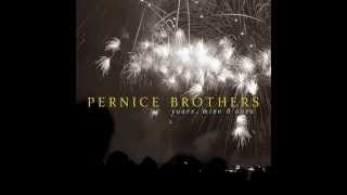 Pernice Brothers  Blinded by the Stars [upl. by Hnao765]