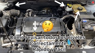 Como revisar todos los niveles del auto correctamente rápido y fácil 🤔 fluidosaceite y anticong [upl. by Carce]