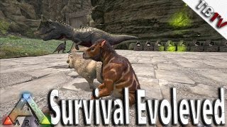 Ark Survival Evolved  BABIES FOR DAYS  Chalicotherium Breeding  Ark Survival S3E14  TagBackTV [upl. by Wilsey444]