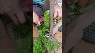 The way to dry Tobacco leaves🌱shorts viralvideo [upl. by Nnaylrebmik]