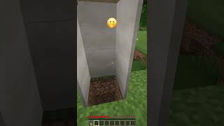 Why All These Villagers Went Crazy shorts meme minecraft [upl. by Dachi364]