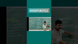 Rhodopsin cycle eye retina opthalmology medicaleducation biology nursing physiology newsong [upl. by Annola]