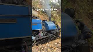 DHR Darjeeling Himalayan Rail steam loco toytrain train darjeeling travel [upl. by Eimmot621]