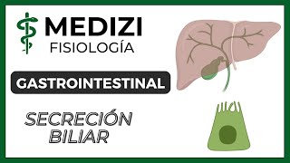 Clase 51 Fisiología Gastrointestinal  Secreción Biliar IGdoctorpaiva [upl. by Encratia805]