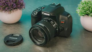 Best Beginner Cameras in 2024 [upl. by Katee347]