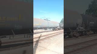 Canadian national railcar and ttx railcars at Galveston sub railfan [upl. by Aicella318]