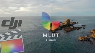 DJI  DLOG to REC709 using mLut plugin [upl. by Pence]