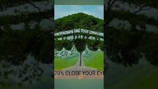 70 close you eye [upl. by Edana]