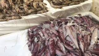 Bibilikami ng isda fish market shortvideo trendingnow viralfood [upl. by Schlenger535]