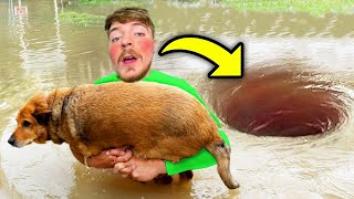 7 YouTubers Who SAVED ANIMALS LIVES MrBeast Preston amp PrestonPlayz [upl. by Berton]