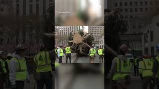 Rockefeller Center Christmas Tree arrives in New York City [upl. by Odericus415]