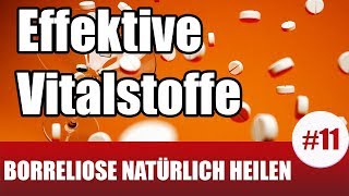 Borreliose heilen  Diese VitalstoffeNEM töten Borrelien ab Borreliose Behandlung natürlich 11 [upl. by Nissie246]