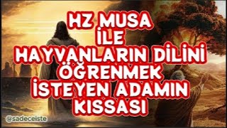 HZ MUSA İLE HAYVANLARIN DİLİNİ ÖĞRENMEK İSTEYEN ADAMIN KISSASI [upl. by Marika]