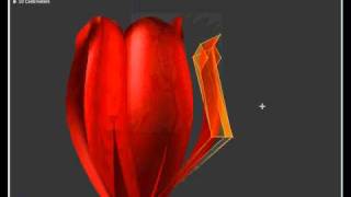 Rose modeling  in Blender 25x part 1 [upl. by Itak]