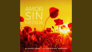 Amor Sin Medida Mijangos Latin House Remix [upl. by Amoakuh471]