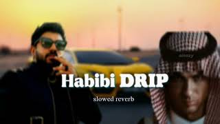 Habibi Drip slowed  reverb dabzee  Nivin Pualy [upl. by Halil87]