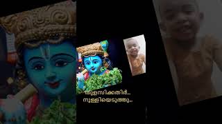 Thulasikathir nulliyeduthu  തുളസിക്കതിർ നുള്ളിയെടുത്തു [upl. by Rabjohn]