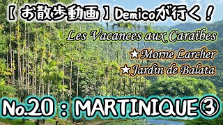 【お散歩動画】Demicoが行く！ No20：Martinique③★Morne LarcherJardin de Balata【バカンス2023】 [upl. by Dorian]