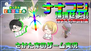 幻のナナフシを捕獲せよ！捕獲方法解説！【あつまれ どうぶつの森】さかた家のゲーム実況！ [upl. by Wilsey]