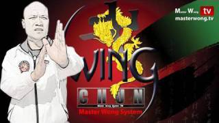 Wing Chun Sil Lim Tao video Preview [upl. by Anah367]