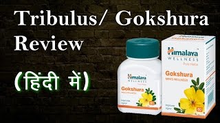 Gokshura गोक्षुर as a test booster  Tribulus Terristris Supplement Review  Hindi [upl. by Harwill]