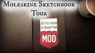 Moleskine Sketchbook Tour [upl. by Hsirap]