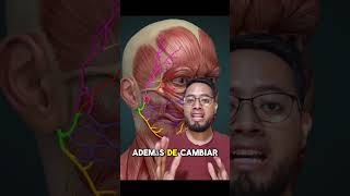 Causas de la parálisis facial anatomia fisioterapia dolor rehabilitación animation medicina [upl. by Odilo821]