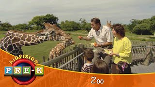 Zoo  Virtual Field Trip  KidVision PreK [upl. by Rednaxela9]