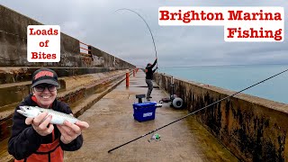 Brighton Bites Fishing on the Marina [upl. by Balthazar]