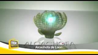 ALCACHOFA DE LAON [upl. by Juanne]