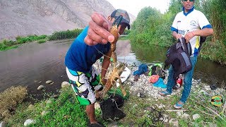 Pesca de Camarones en Río  Pescando Camarones con Atarraya [upl. by Andrei]