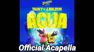 J Balvin  Agua Official Acapella Ft Tainy [upl. by Madoc6]