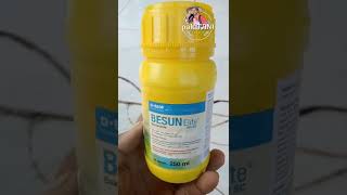 bakterisida dari BASF  obat hawar daun untuk semua tanaman [upl. by Yuh290]