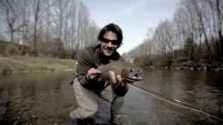 flyfishing for trout amp greyling  proguides at the mühlheimer ache  film by thommy mardomp4 [upl. by Grantham]