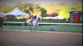 The Arkansas Derby Road to the Triple Crown [upl. by Edgardo]