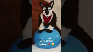 Bounce Balloon Test 🎈💥😅 [upl. by Panter168]