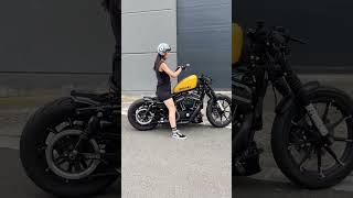 harley davidson with my favorite color harley harleyvideos bikergirlbikelife bikergirl [upl. by Sauncho477]