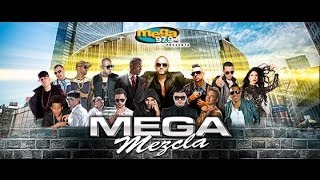 Alex Sensation Mega Mezcla Block Party 2014 New York [upl. by Eimor826]