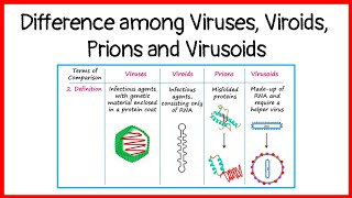 Difference among viruses viroids prions and virusoids  basicappliedmicrobiology [upl. by Urson]