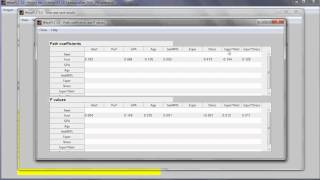 Conduct a Moderating Effects Analysis in WarpPLS [upl. by Frolick]