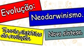 Evolução Neodarwinismo Teoria sintética da evolução ou nova síntese [upl. by Falk]