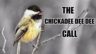 Chickadeedeedee Call [upl. by Hollie66]