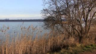 ESTANY DIVARS I VILASANA [upl. by Lennej]