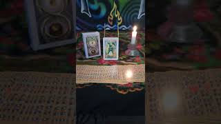 Journey Through the THOTH tarot tarot [upl. by Adnylg]