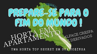 PREPARESE PARA O FIM DO MUNDO TENHA ALIMENTO SUSTENTÁVEL EM SUA COZINHA  Bio Verbena [upl. by Cal]