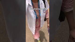 The 1 Vet life ❤️🥹 vet veterinary college vetlife medico trending new medico viralvideo [upl. by Yearwood891]