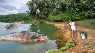 Girl fishing skills catching fish trapping big fish top [upl. by Quintina]