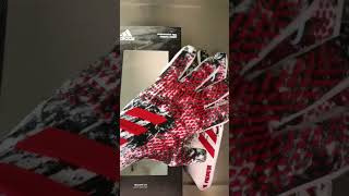 FidalGK99 Adidas predator pro gloves is insane [upl. by Iey]